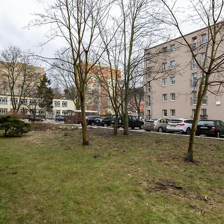 Apartment Lasy Chylonskie Blue *